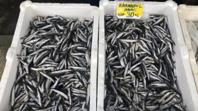 Fırtına ve yağışlı havanın etkisiyle hamsi 30 liradan satılıyor