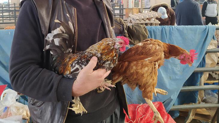 Köy tavuğu satışları patladı