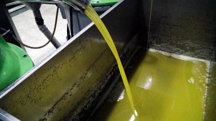 Zeytinyağında hileye dikkat