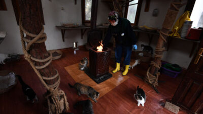 Osmangazi’de sobalar kediler için yandı