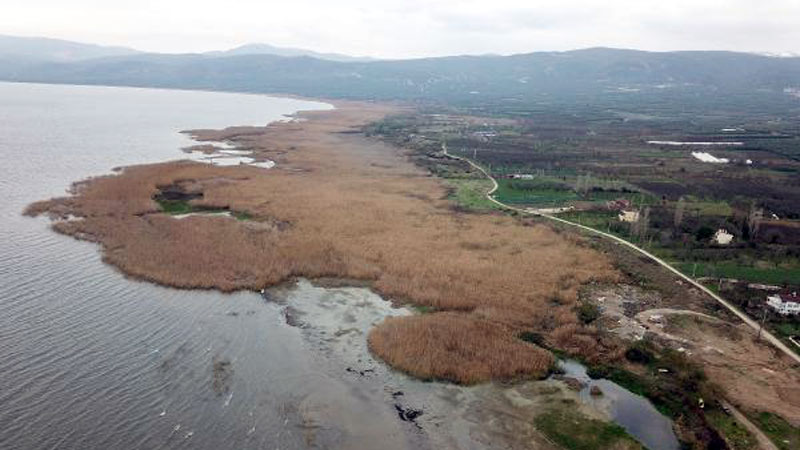 İznik Gölü’nde endişelendiren gelişme