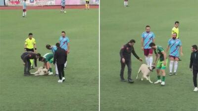 Bursa’da nefes kesen mücadeleye ‘köpek’ molası