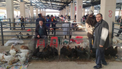 Fiyatı markettekilere göre yüzde 50 ucuz! Bursa’da satışları patladı