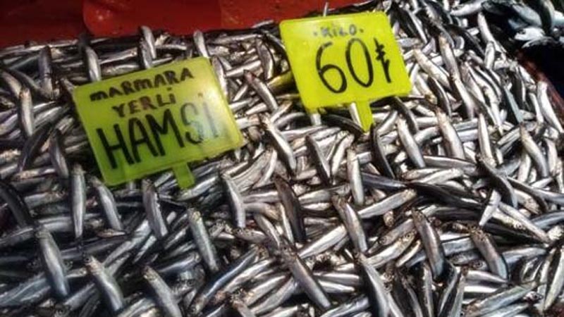 Fırtına balık tezgahlarına esti, fiyatlar yükseldi