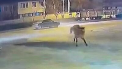 Bursa’da başıboş atlar trafiği birbirine kattı