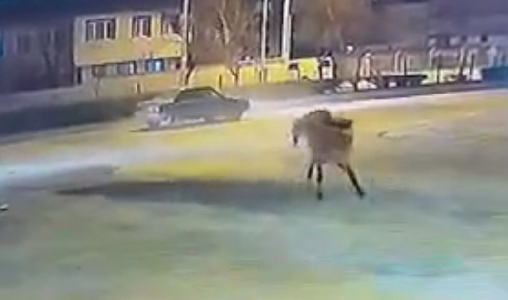 Bursa’da başıboş atlar trafiği birbirine kattı