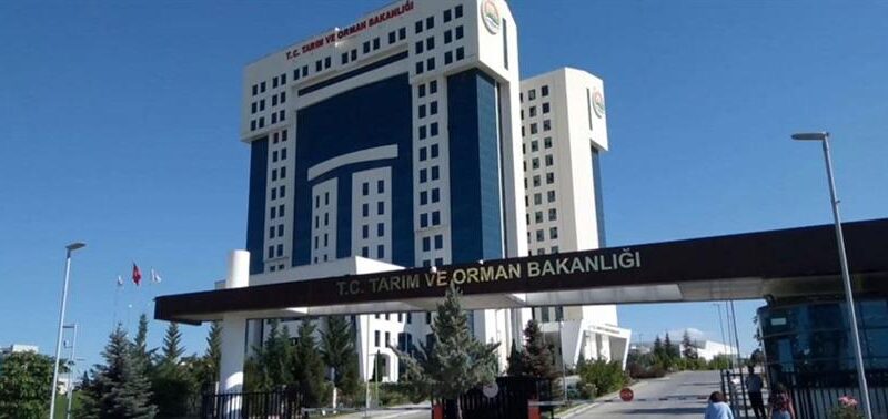 Tarım ve Orman Bakanlığı'na, sözleşmeli Bilişim Personeli Alım İlanı