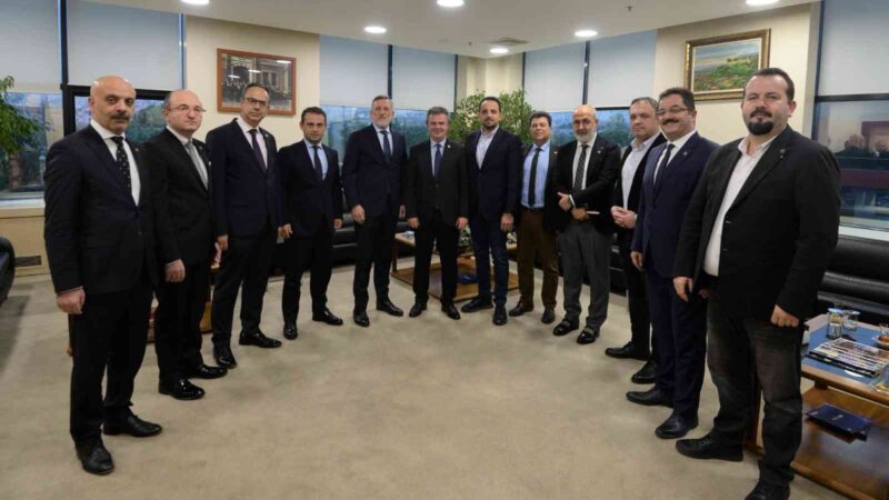 Rumelili Yönetici ve Sanayici İşadamları Derneği (RUMELİSİAD) Yönetim Kurulu Başkanı