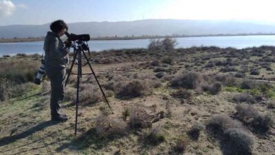 Bursa’da nesli tükenmekte olan ördekler için seferberlik