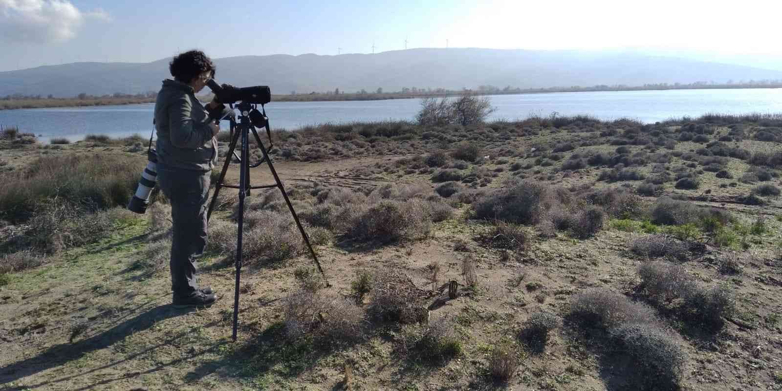 Bursa’da nesli tükenmekte olan ördekler için seferberlik