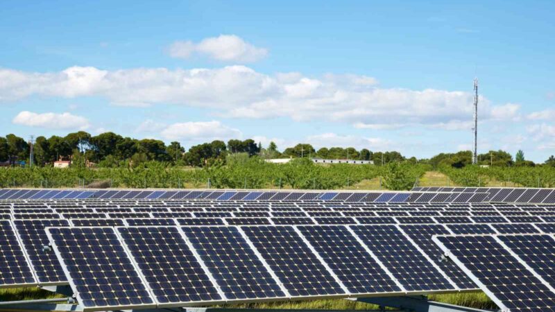 BUSKİ güneş enerji santrali yaptıracak… BUSKİ, güneş enerji santrali işi yaptıracak...