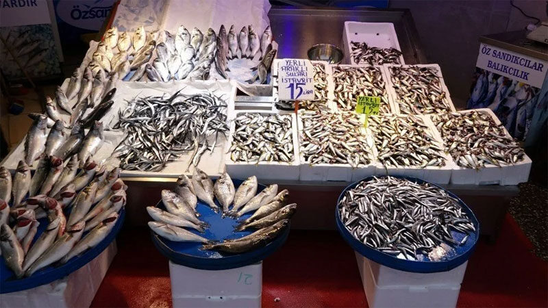 Karadeniz'de sezon başında çokca avlanan ve kilosu 10 TL'den satılan