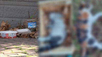 Bursa’da vahşet! Mahalleli gözyaşı döktü