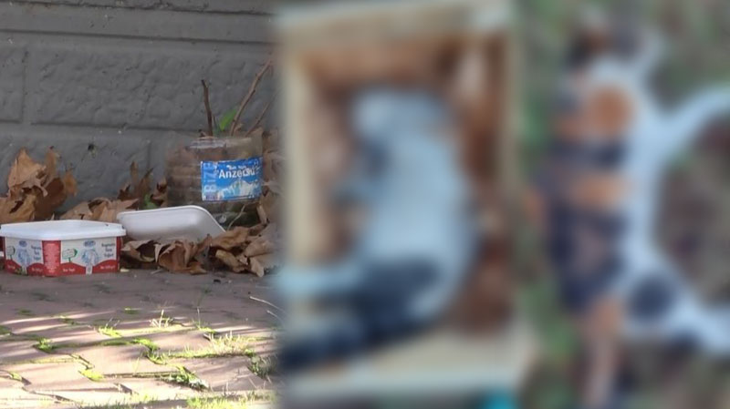 Bursa’da vahşet! Mahalleli gözyaşı döktü