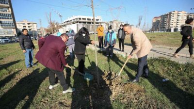 Nilüfer’de ağaçlandırma kampanyası!