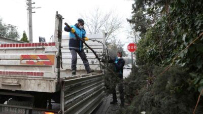 Bursa’da budanan ağaçların atıkları toprağa geri dönüyor