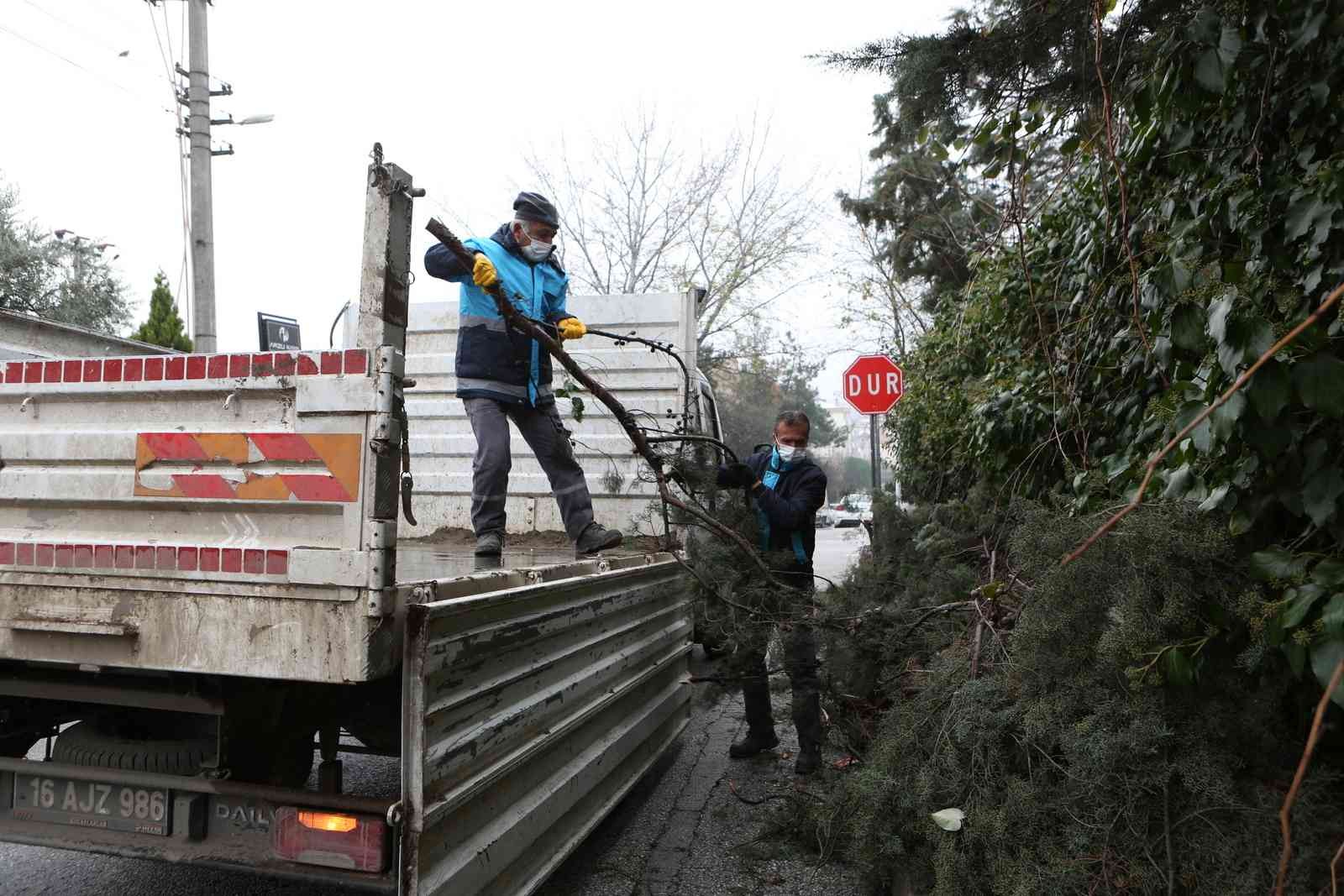 Bursa’da budanan ağaçların atıkları toprağa geri dönüyor