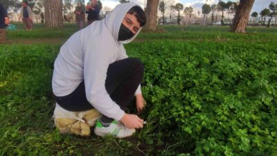 Bursa’da derslerini tarlada yapıp üstüne para kazanıyorlar