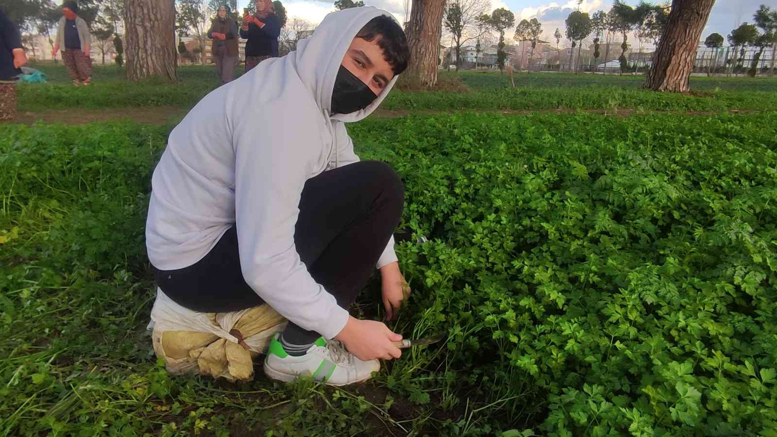 Bursa’da derslerini tarlada yapıp üstüne para kazanıyorlar