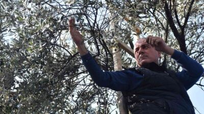 Gemlik’ten Marmarabirlik’e çağrı…