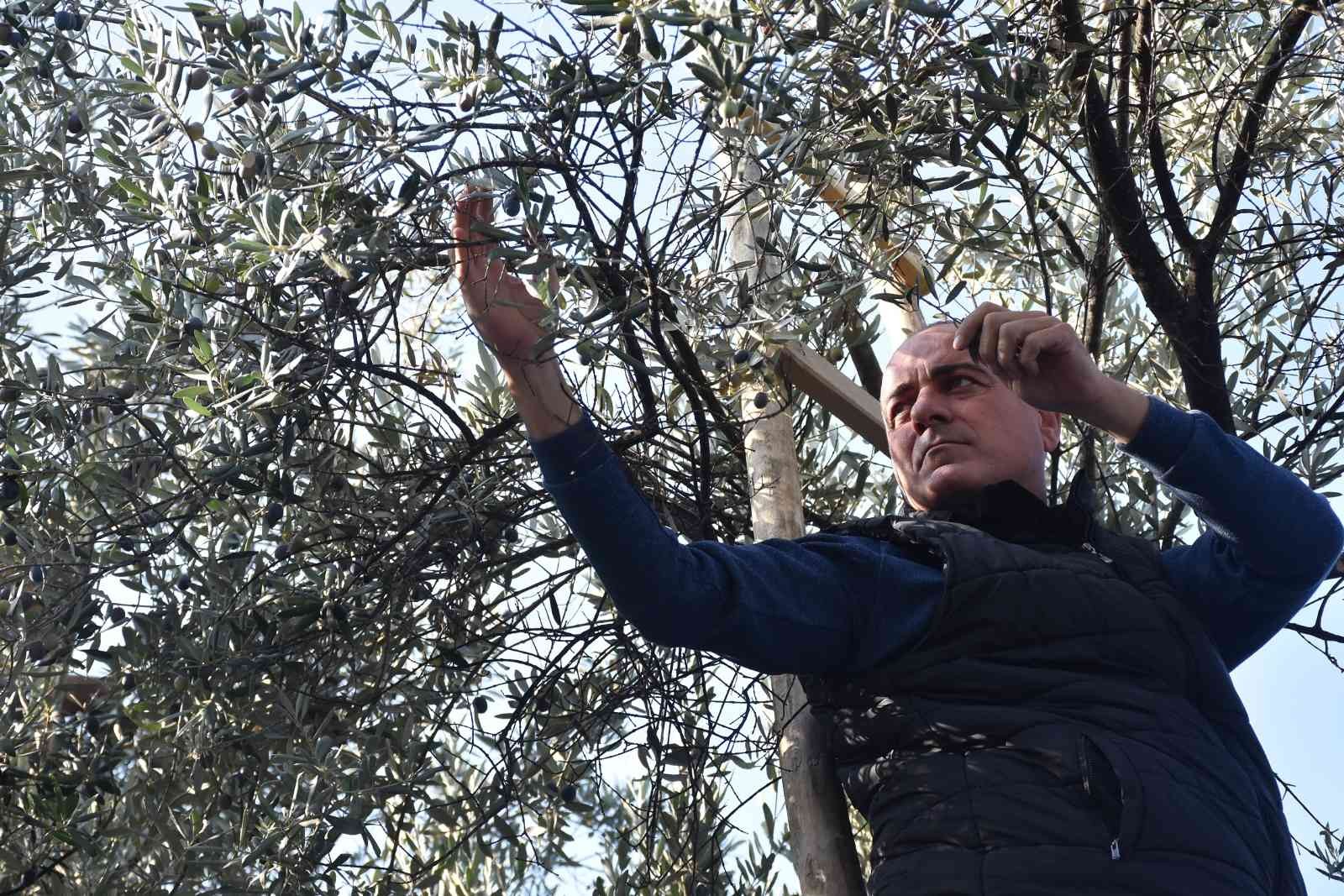 Gemlik’ten Marmarabirlik’e çağrı…