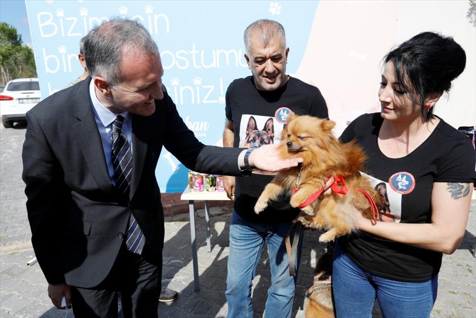 4 bin 476 can dostu İnegöl Belediyesi ile hayata tutundu