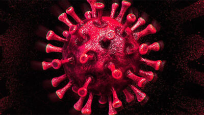 Bakan Koca’dan Bursa’ya uyarı!