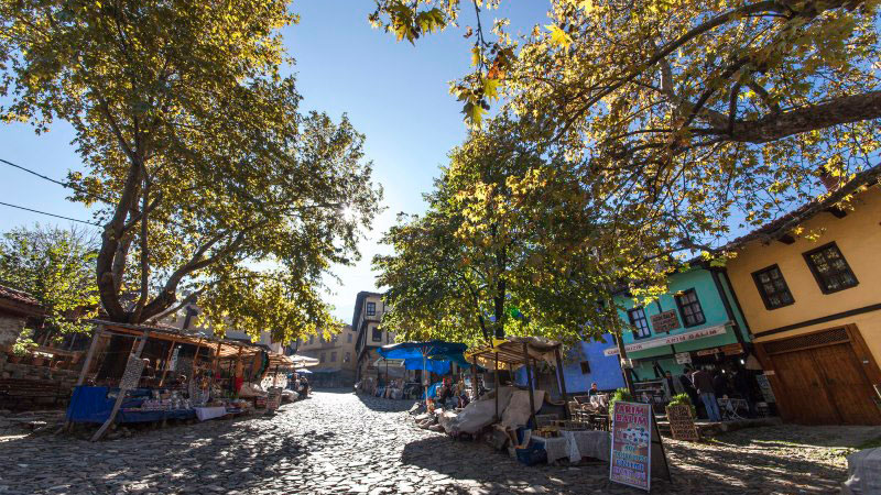 Bursa’nın tarihi köyü için önemli adım
