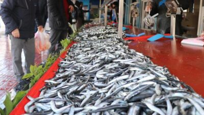 Hamsi fiyatları 50 liraya kadar çıktı