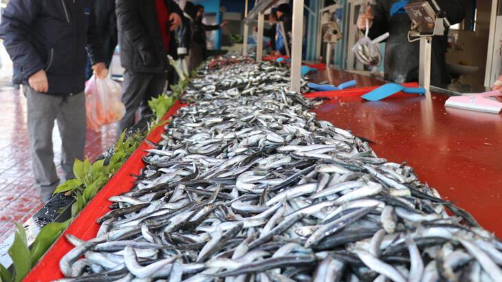 Hamsi fiyatları 50 liraya kadar çıktı Hamsi fiyatları 50 liraya kadar çıktı
