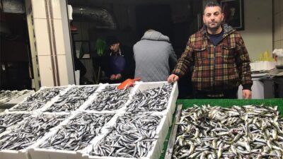 Havalar düzeldi, tezgahlar hamsiyle doldu