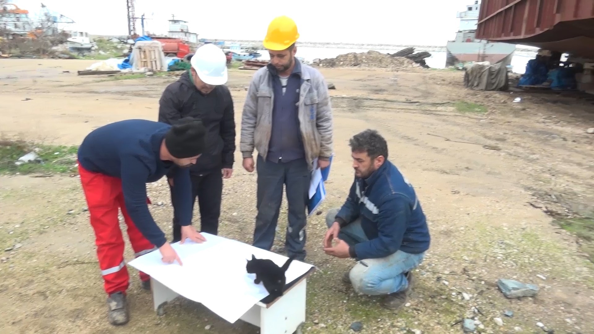 Bursa’da haberi sabote eden kedi Bursa’da haberi sabote eden kedi