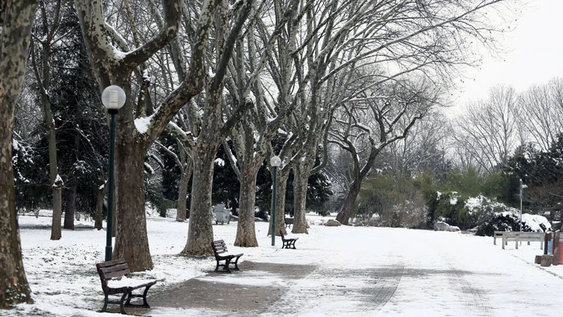 Bursa’nın en gözde yerlerinden biri… Kar yağınca hayvanlara kaldı