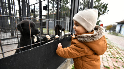 Osmangazi’den can dostlara hem şifa hem yuva