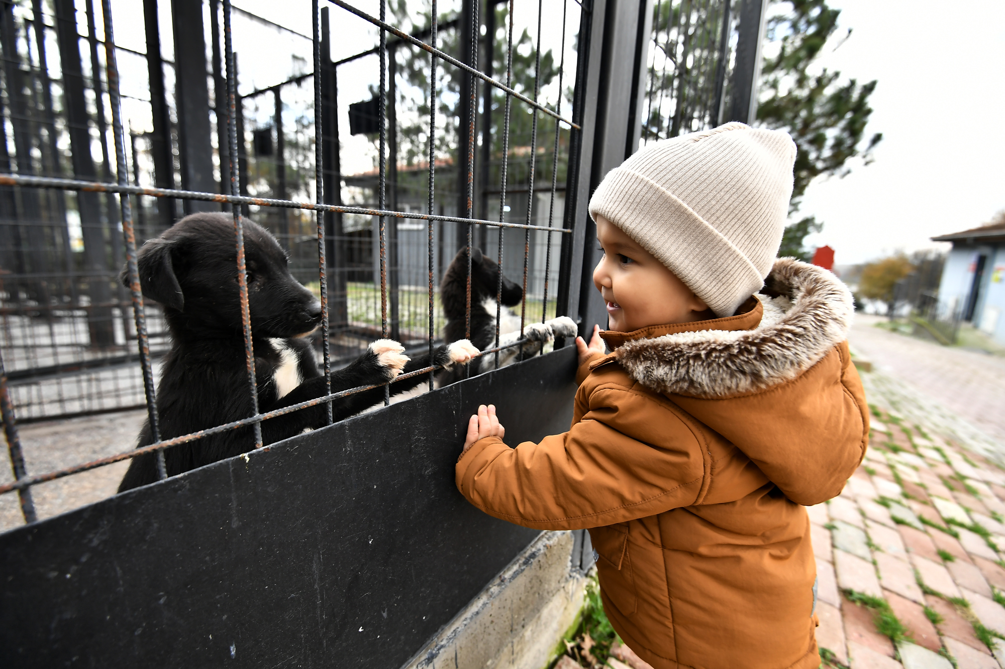 Osmangazi’den can dostlara hem şifa hem yuva