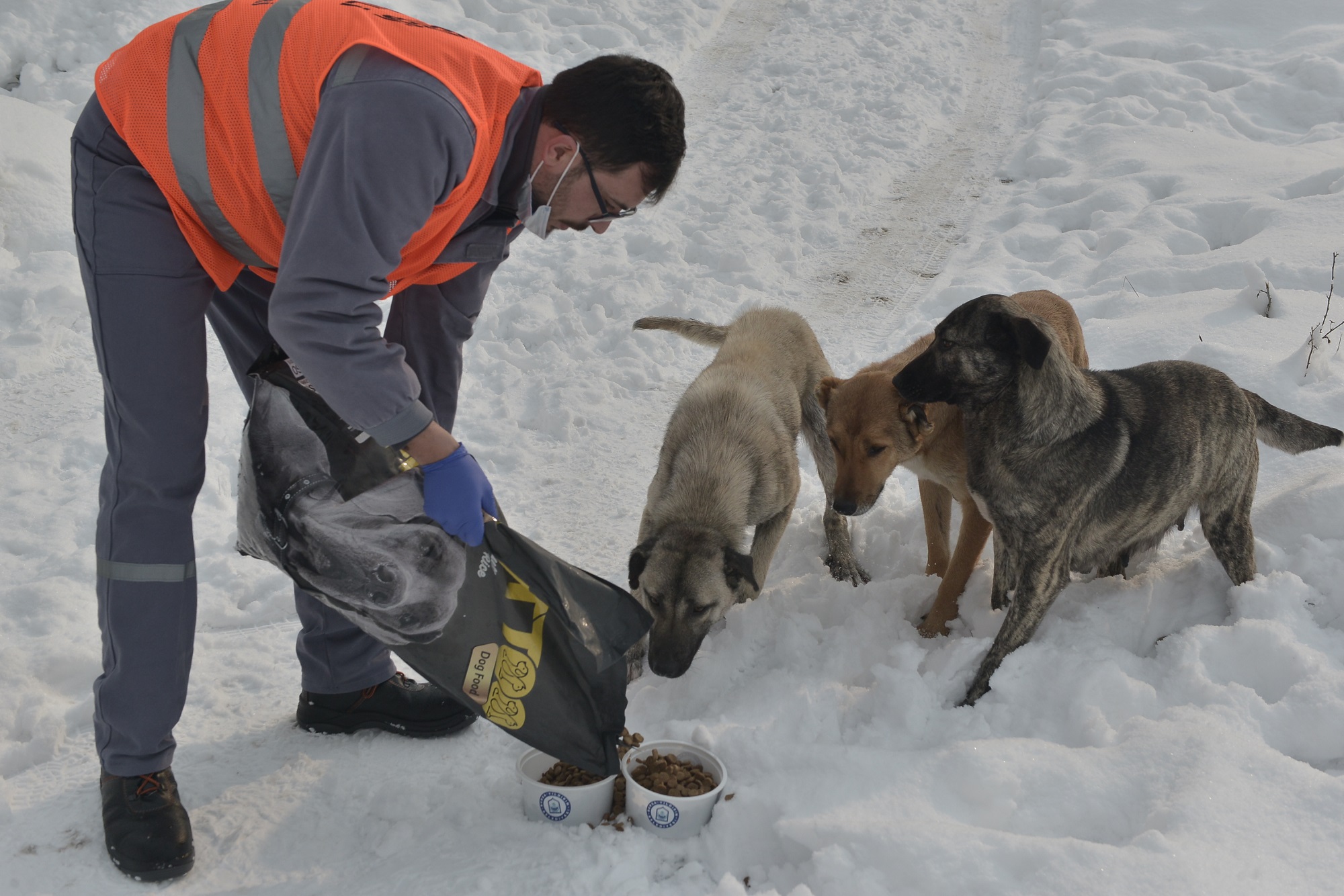 Can dostlara Yıldırım şefkat Can dostlara Yıldırım şefkat