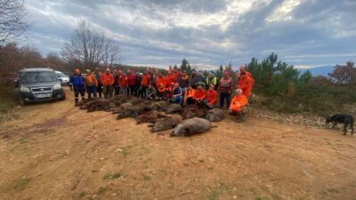 Bursa’da 33 domuz bir günde vuruldu