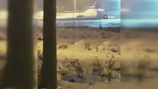 Görüntüler Bursa’dan… İlçe merkezine indiler