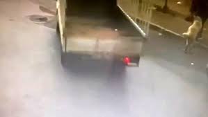 Sahipli köpeği kamyonetle çaldılar