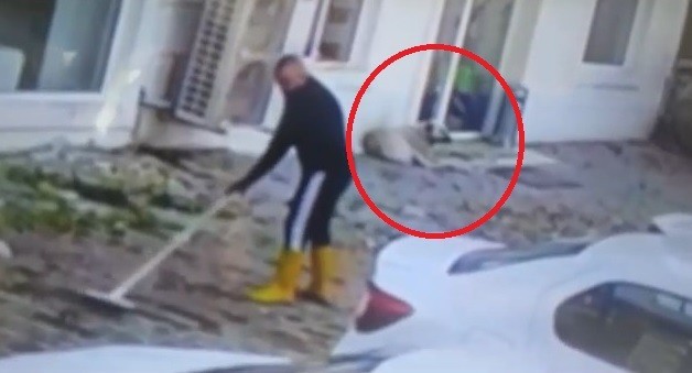 Bursa’da kaldırımı temizlerken köpeğin saldırısına uğradı