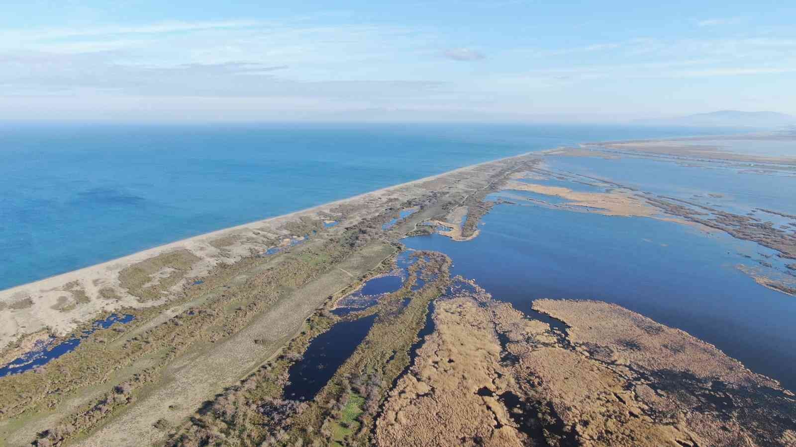 Karacabey longoz ormanları suyla buluşmaya başladı Karacabey longoz ormanları suyla buluşmaya başladı