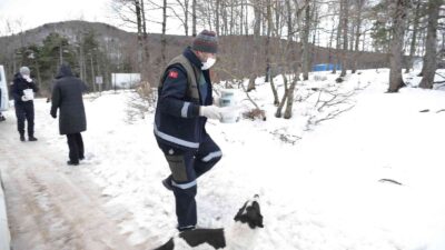 Karda aç kalan hayvanları elleriyle beslediler