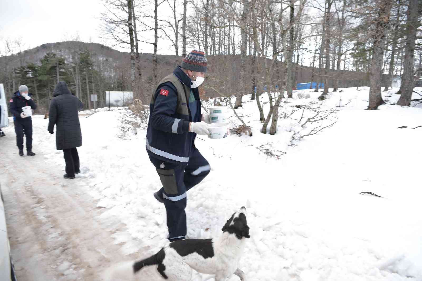 Karda aç kalan hayvanları elleriyle beslediler