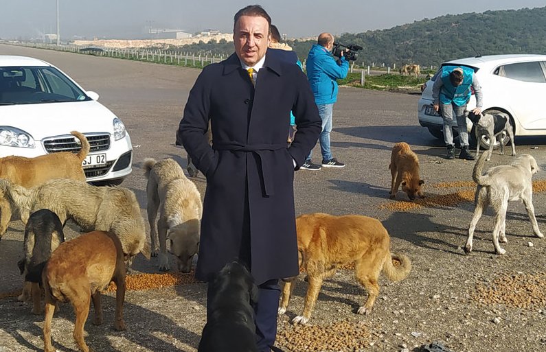 Bursa’da bu köpekleri otoyola kim bırakıyor? Bir drama tanık olduk…