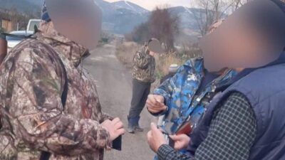 Bursa’da yaban hayvanı vurdular, 11 bin lira tazminat ödediler