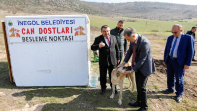 İnegöl’de can dostları için yeni beslenme noktaları oluşturuluyor
