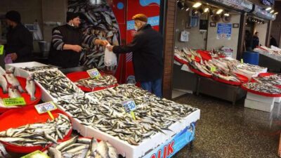 Hamsi bu defa üzdü