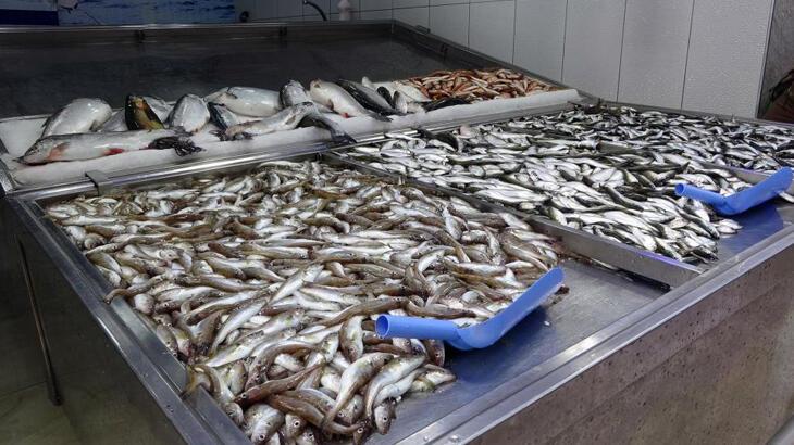 Hamsi tükendi, tezgahlar istavrit ve mezgite kaldı