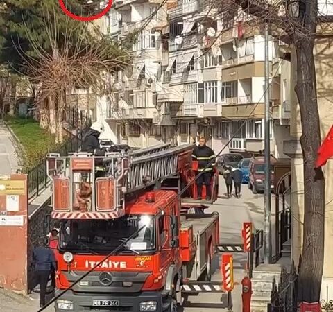 Bursa’da ağaçta asılı kalan kuşu itfaiye ekipleri kurtardı Bursa'da ağacın dallarına takılarak asılı kalan kuşu itfaiye ekipleri merdivenli
