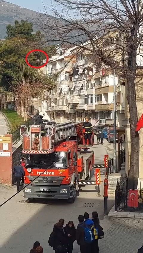 Bursa’da ağaçta asılı kalan kuşu itfaiye ekipleri kurtardı Bursa’da ağaçta asılı kalan kuşu itfaiye ekipleri kurtardı